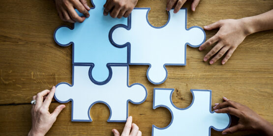 A Teoria Geral dos Sistemas Autônomos e a Metodologia de Atendimento Sistêmico