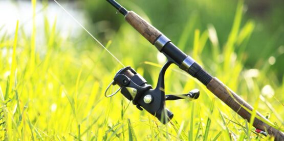 4. imagem Não ensine a pescar! 1