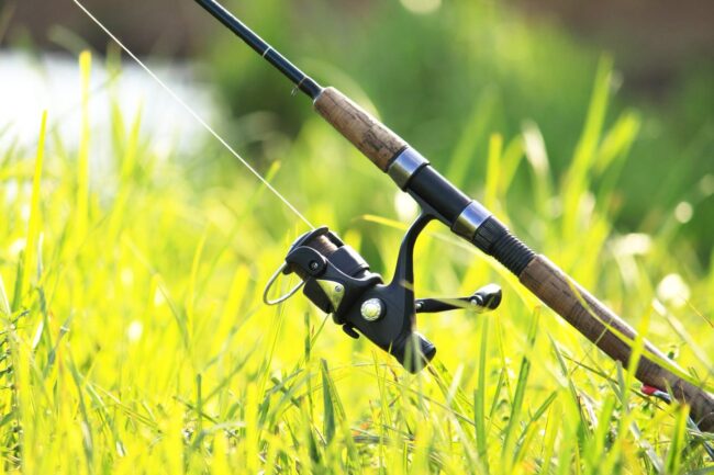 4. imagem Não ensine a pescar! 1